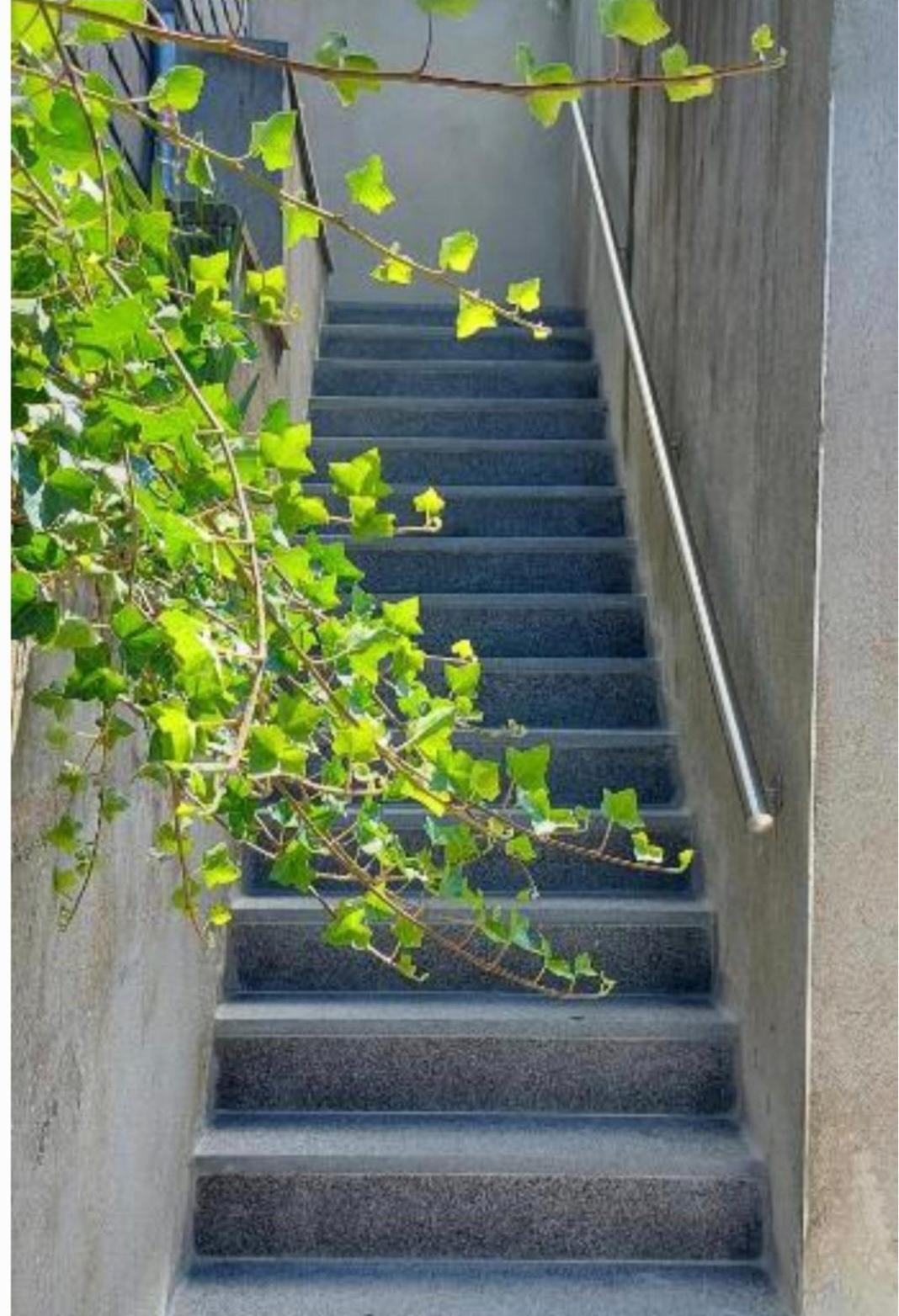 Nazareth Logement Un Magnifique Logement De Vacances Бастон Екстериор снимка